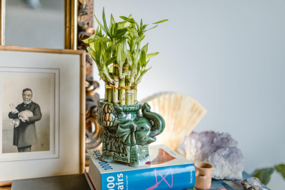 An elephant figurine vase with plants.